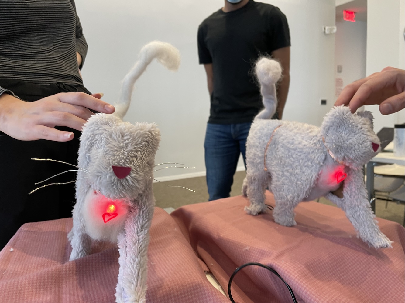 Tail of Two Kitties